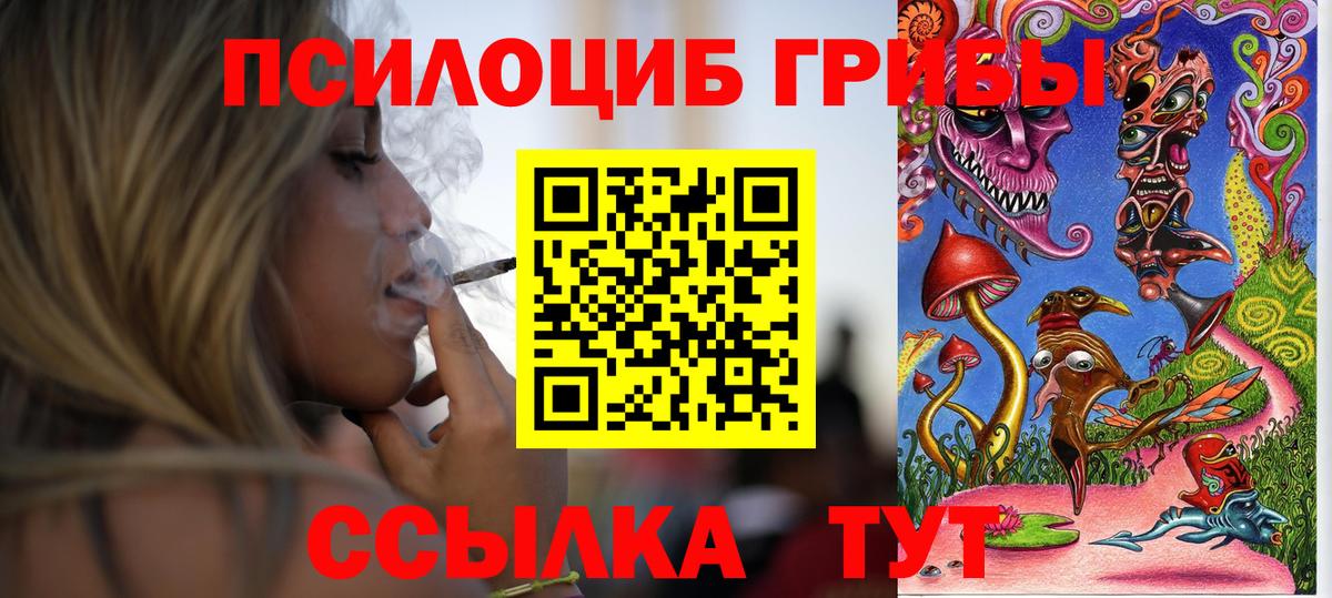 Псилоцибиновые грибы Psilocybe Полевской