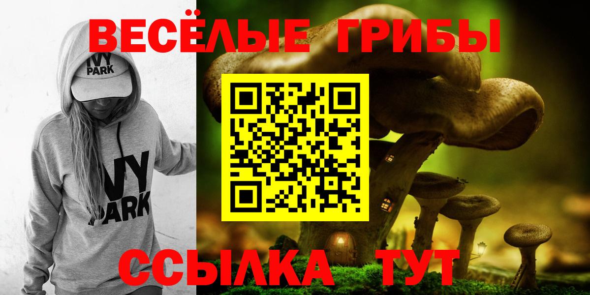 Галлюциногенные грибы Psilocybine cubensis  Вход с VPN  Галлюциногенные грибы GOLDEN TEACHER  Полевской 